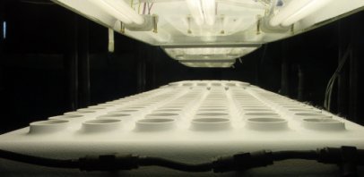 Light Array (240 Watts)